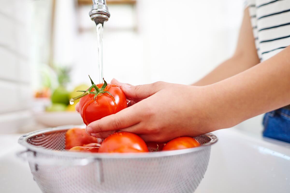 supplier adalah - supplier bahan baku sayuran - mencuci tomat